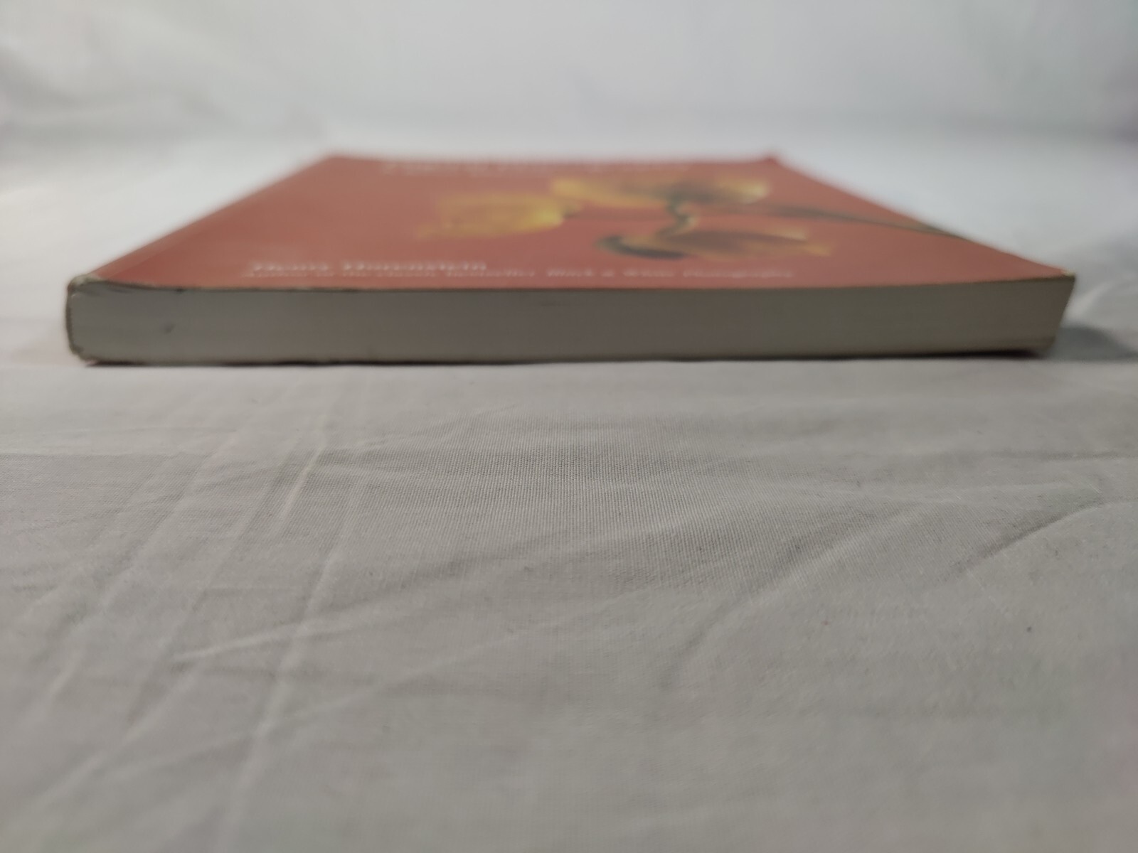 Digital Photography: A Basic Manual by Horenstein, Henry , paperback