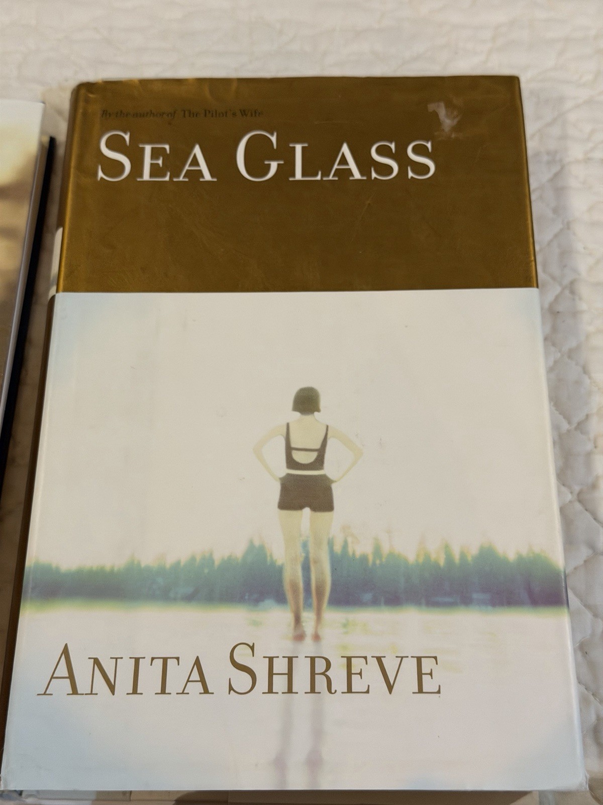 Fiction Book Lot 5 Anita Shreve Jewel Ashley Warlick Mixed Novels