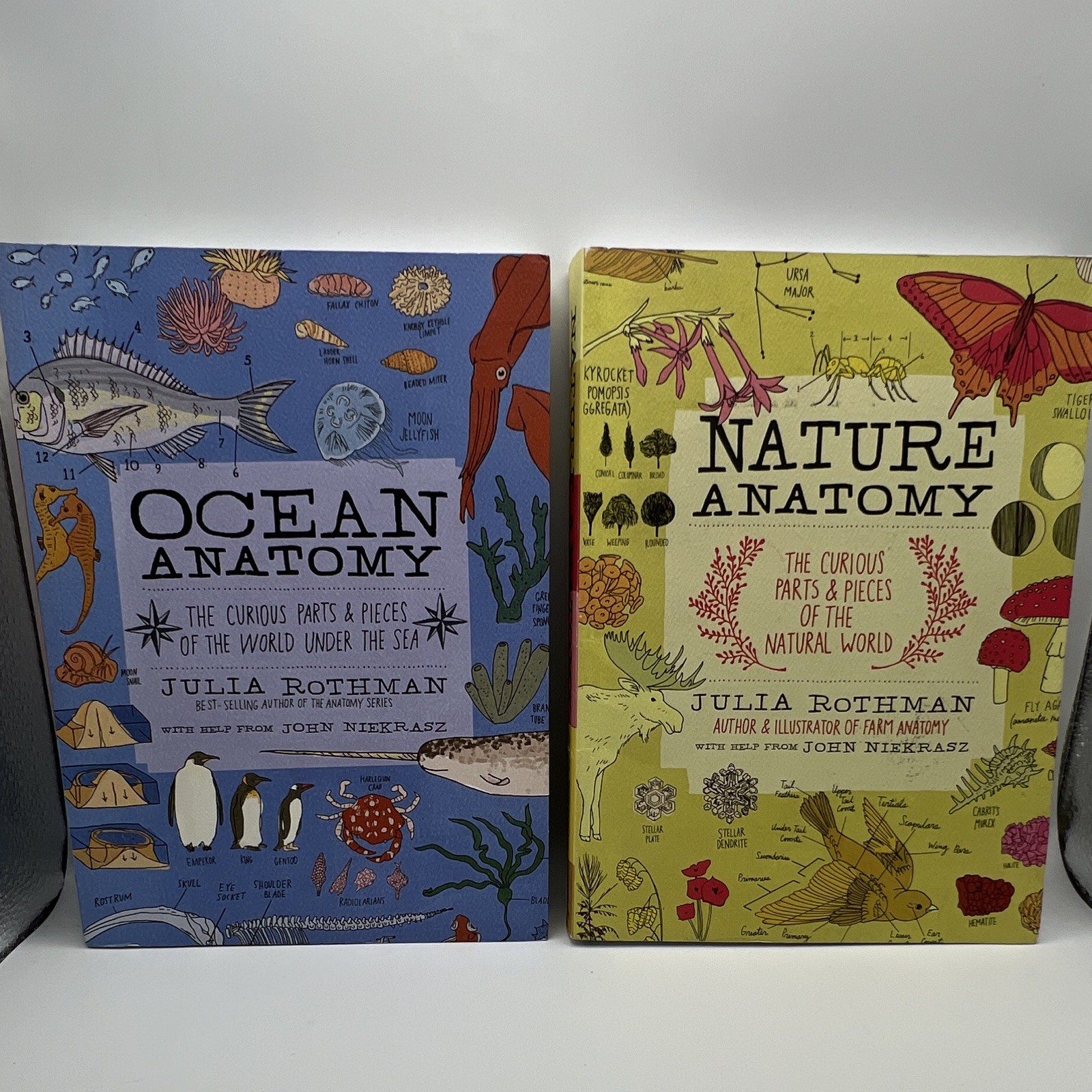 Julia Rothman Anatomy Set: Farm Nature Food Ocean Paperback Homeschool Homestead