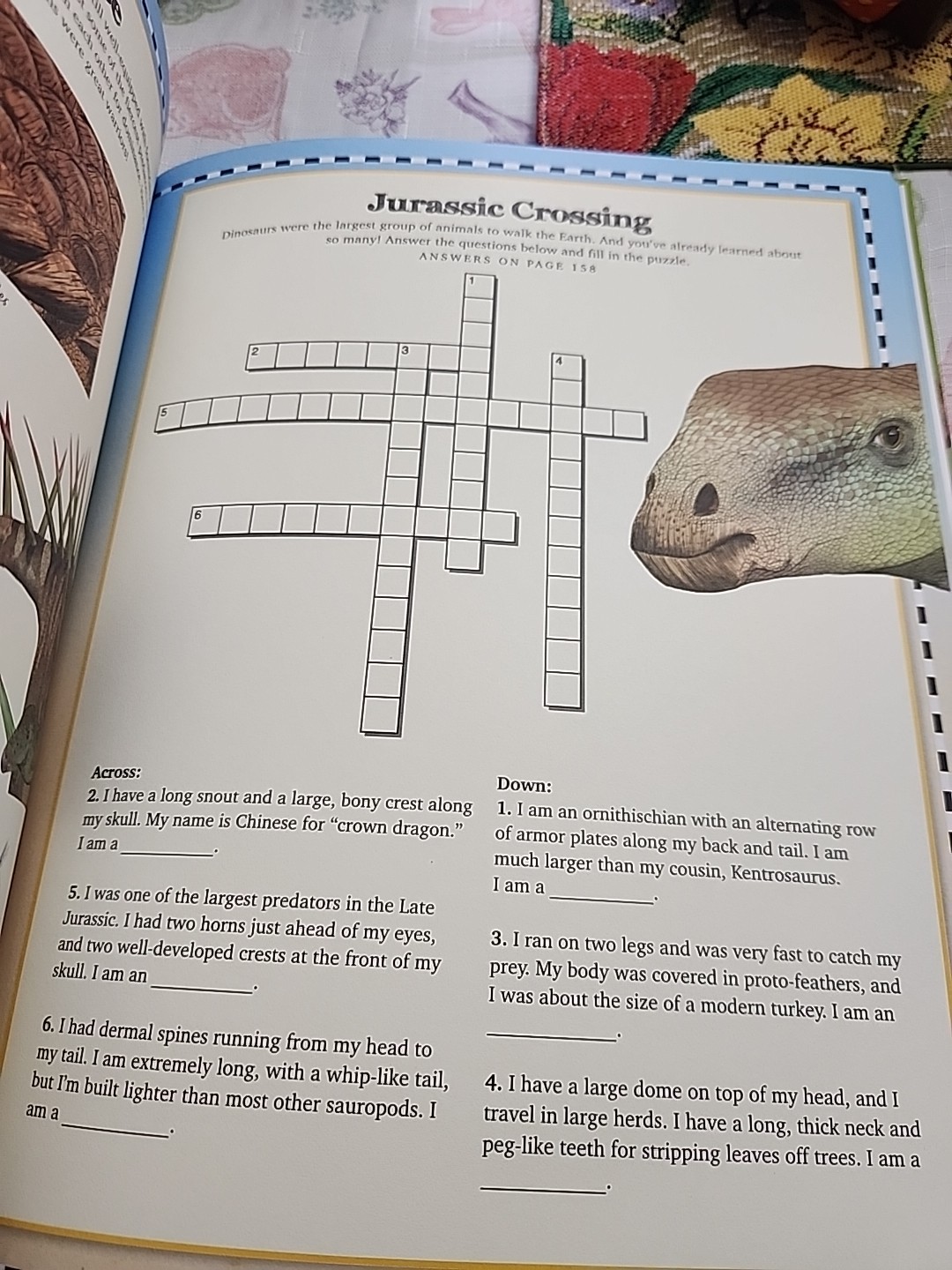 Jurassic Animal Encyclopedia Activity Journal Includes Stickers and Poster