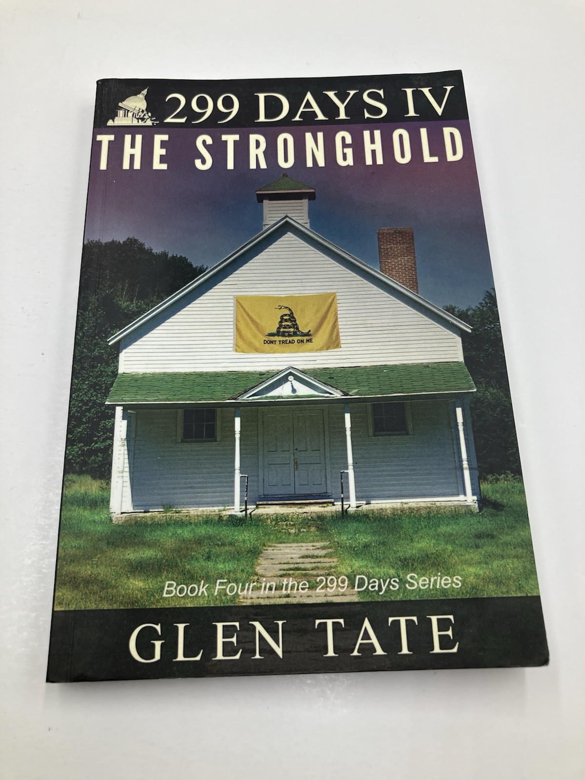 Lot of 10 Glen Tate 299 Days Series Paperbacks Prepper Thrillers Government