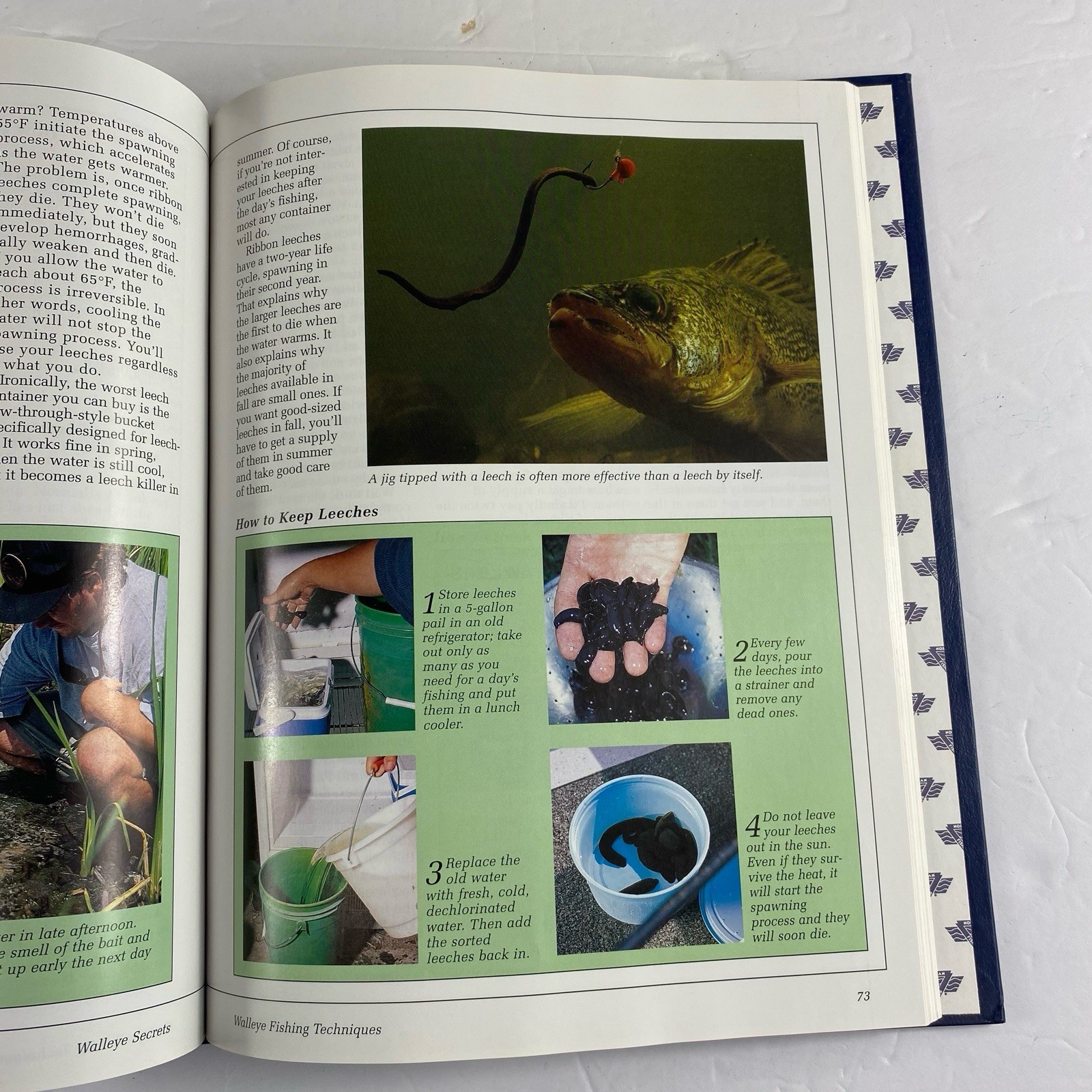 Walleye Secrets 1998 North American Fishing Club Hardcover Book 158 Pages