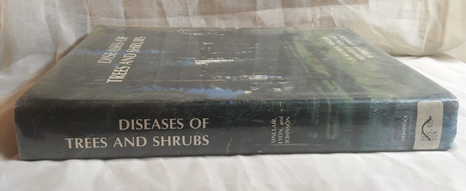Diseases of Trees and Shrubs by Sinclair, Lyon, and Johnson (Cornell, 1987)
