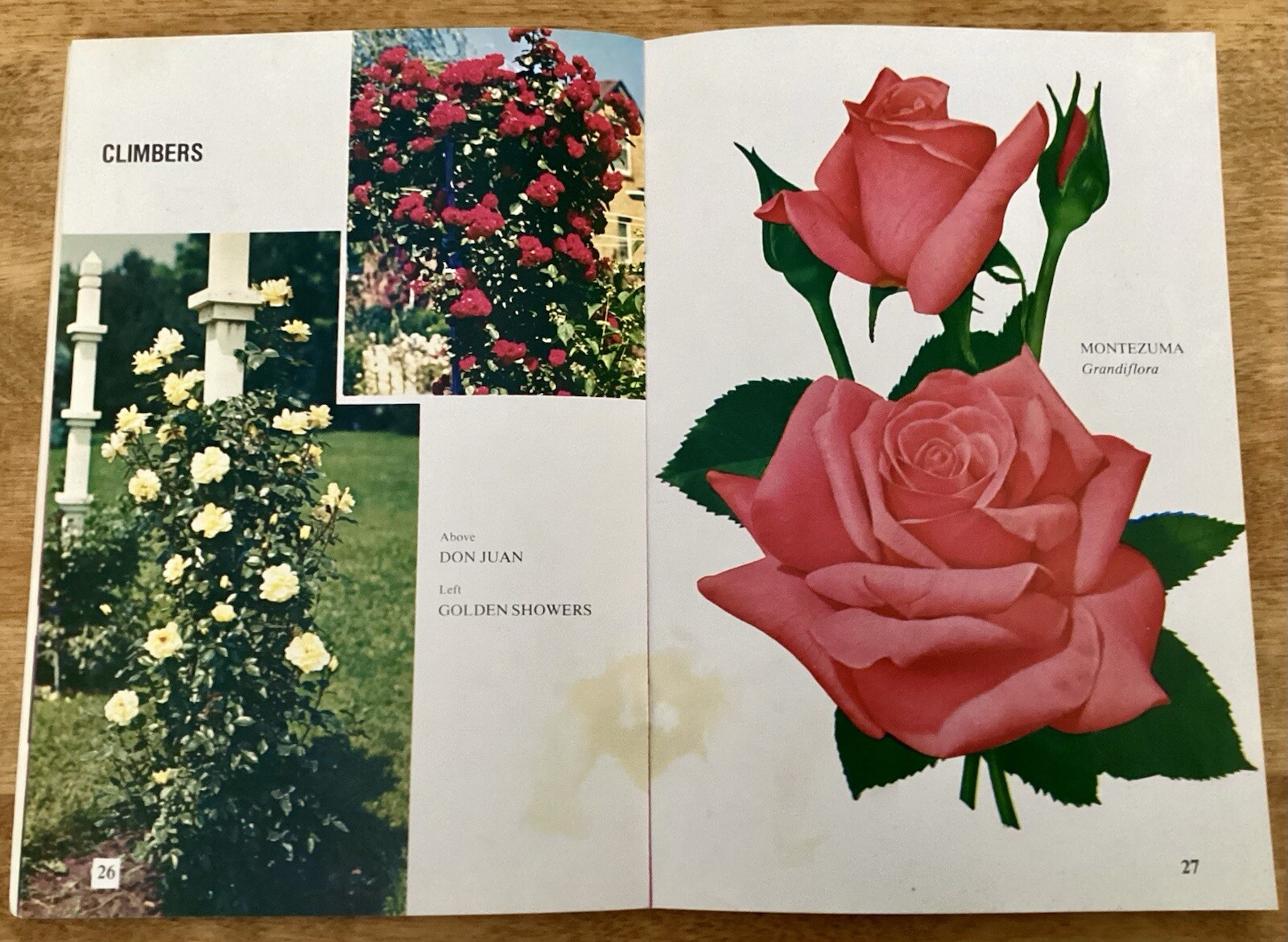VTG ROSE HANDBOOK, 1977, Ed Fink, Countryside Books