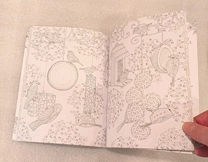New! Blossoms And Butterflies, Color Your World (Jane Heyes) intricate coloring