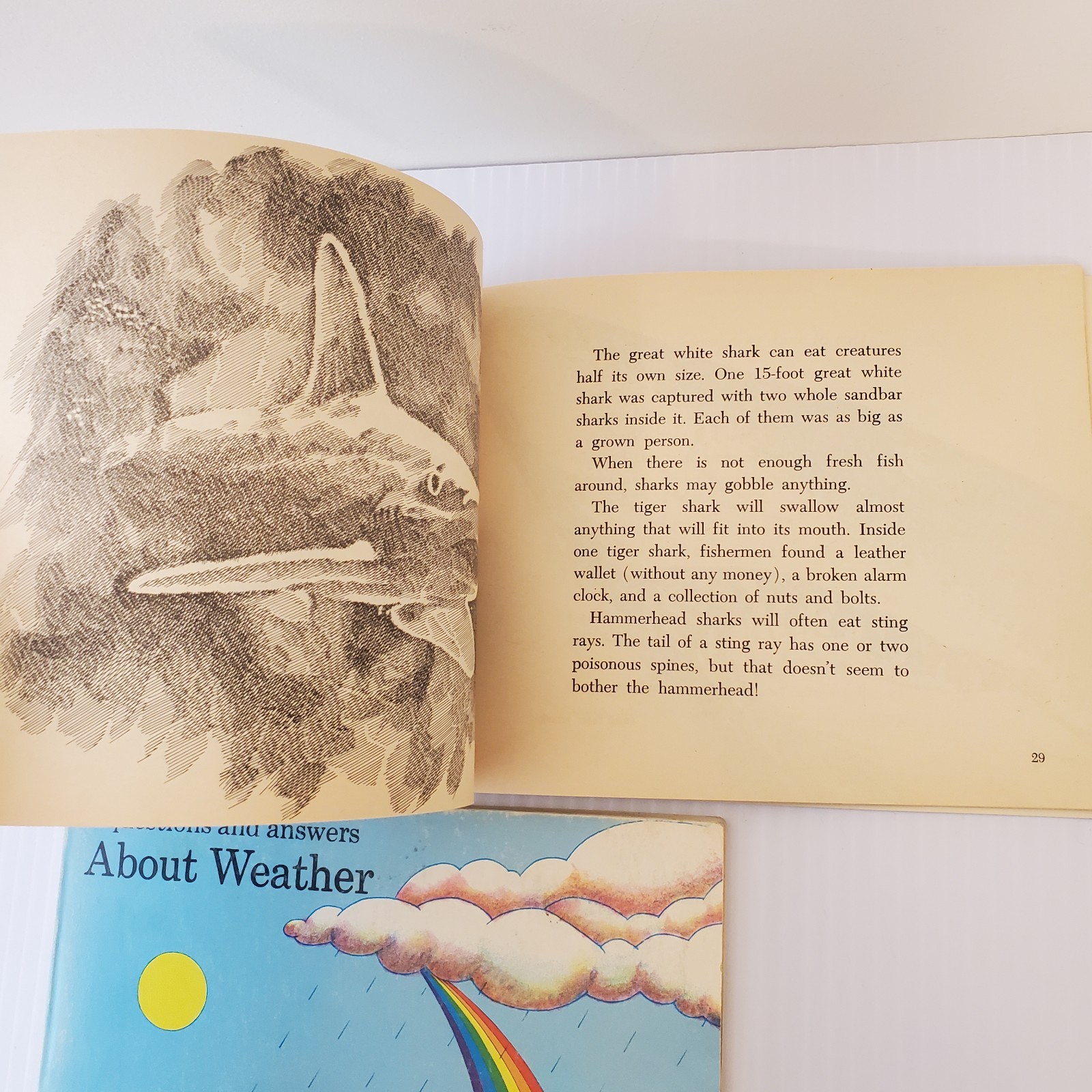Lot of 3 Scholastic Books Horses Richard Harris, Sharks Tinkelman, About Weather