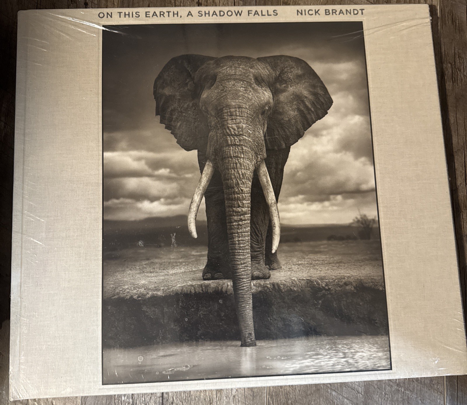 On This Earth A Shadow Falls by Nick Brandt Hardback New with Plastic Sleeve