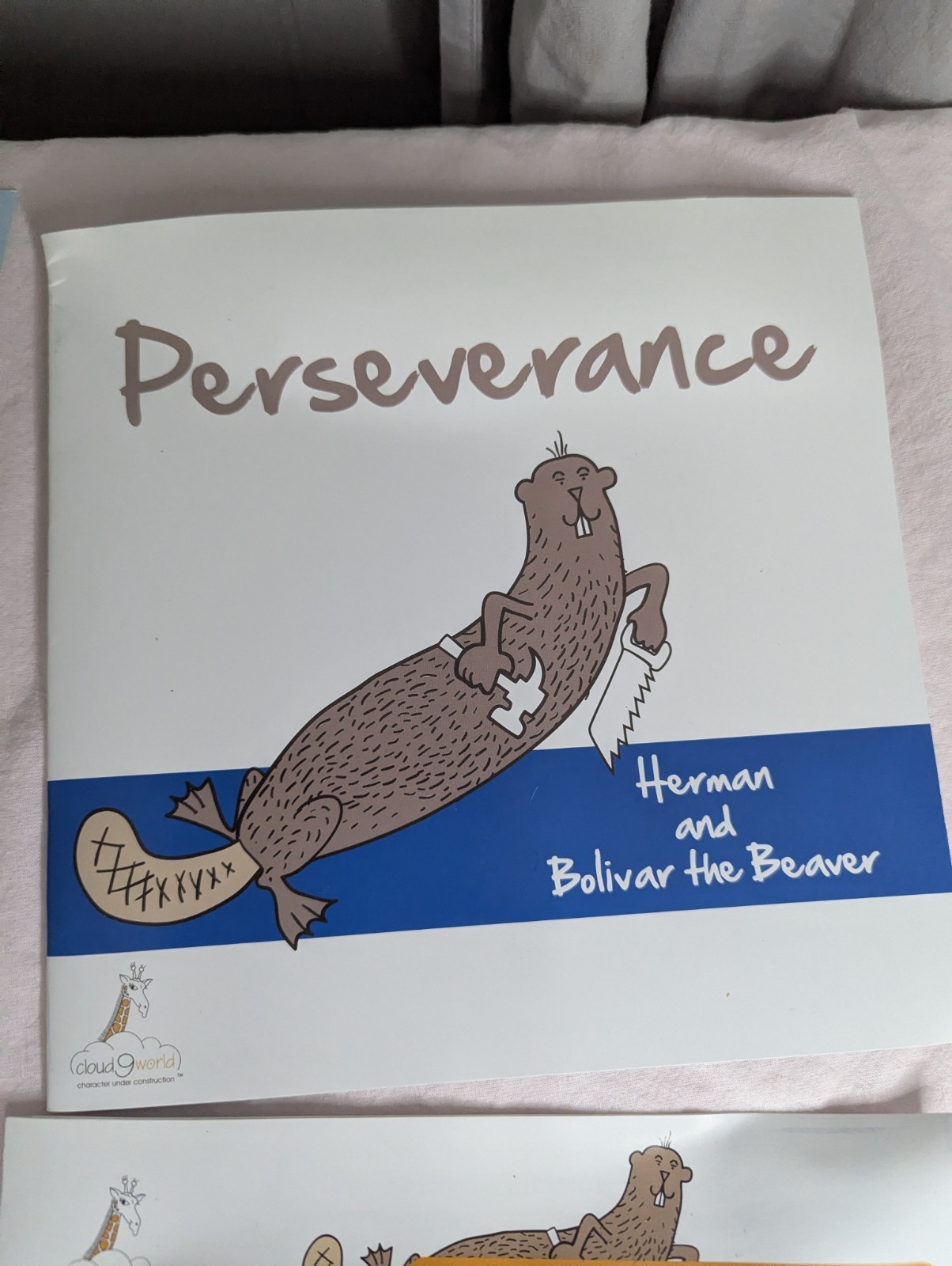 Home School Teachers Cloud 9 world character book PERSEVERANCE 2nd-5th poster