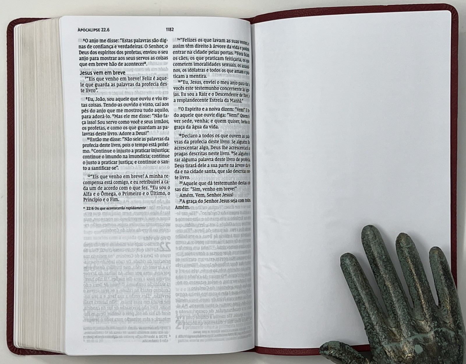 SPANISH BIBLE / RELIGION: Biblia Sagrada: NVI – 2011 SC Pub. by Thomas Nelson