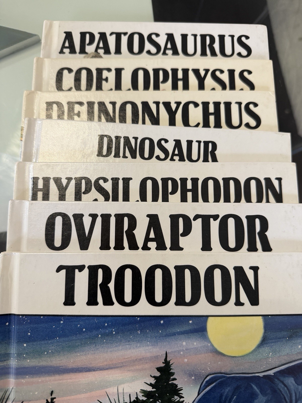 Lot of 7 Dinosaur Picture Books by Janet Riehecky Hardcover-Child’s World,Inc