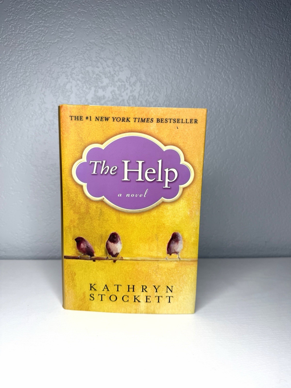 The Help Deluxe Edition By Stockett, Kathryn – Hardcover – EUC