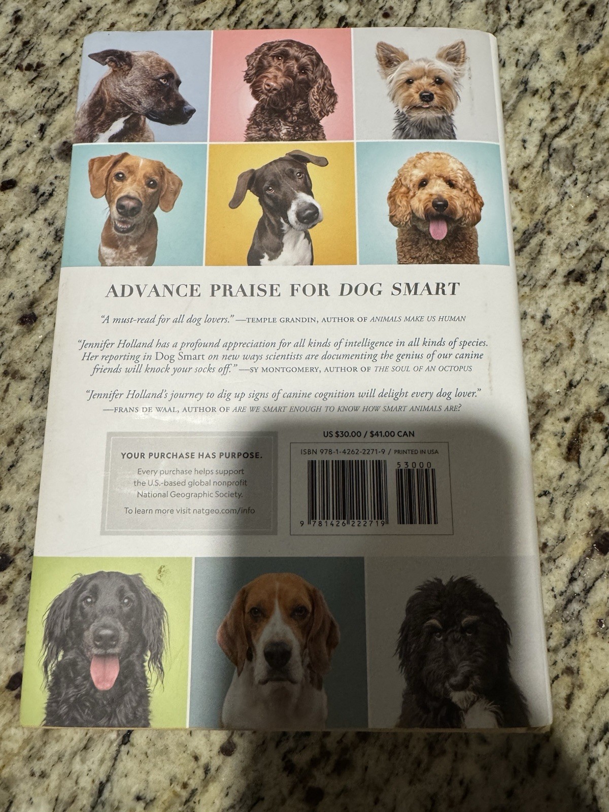 Dog Smart: Life-Changing Lessons in Canine Intelligence by Jennifer S. Holland
