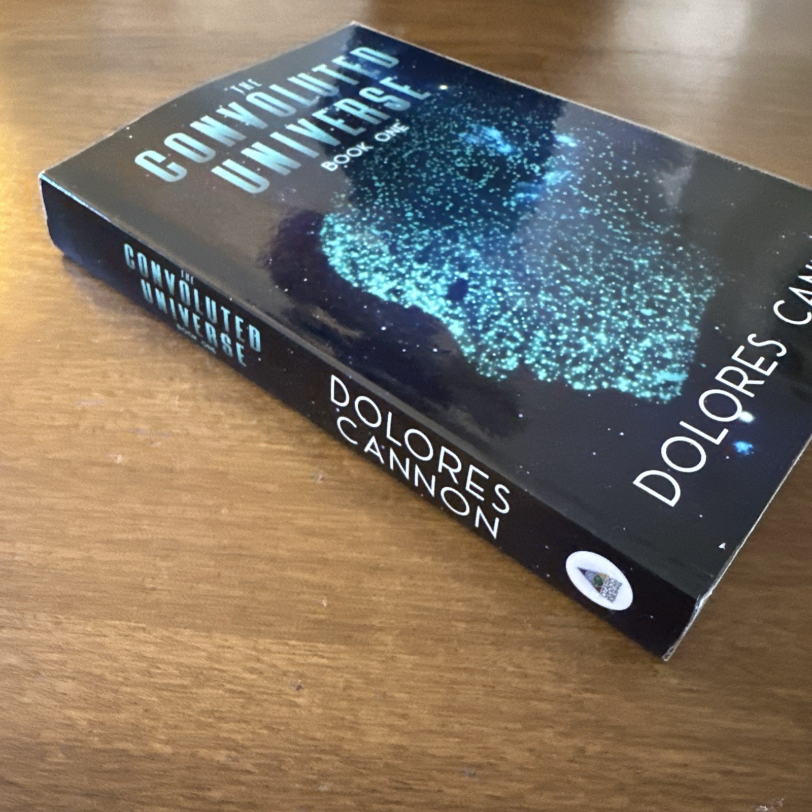 The Convoluted Universe: Book One (The Convoluted Universe series) GOOD