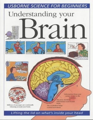 Understanding Your Brain (Usborne Science for Beginners) by Treays, Rebecca, Acc