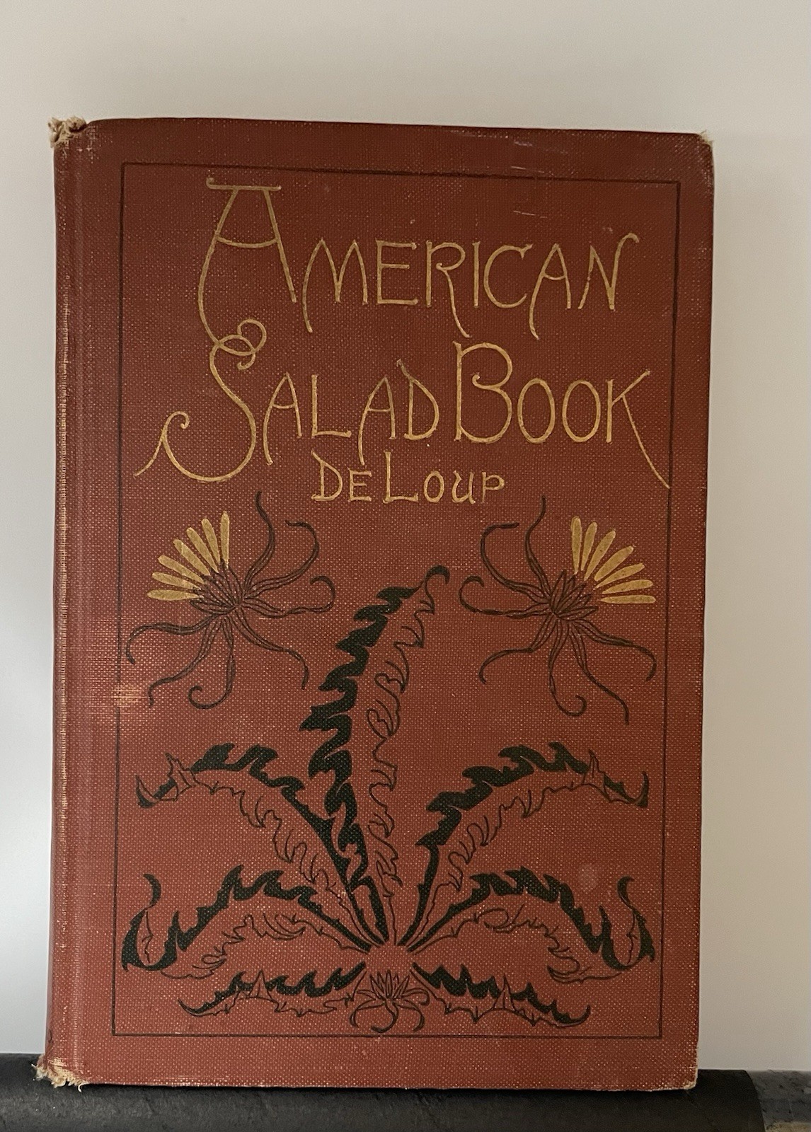 RARE Antique DeLoup American Salad Book 4th Edition Revised, pub. Doubleday 1919