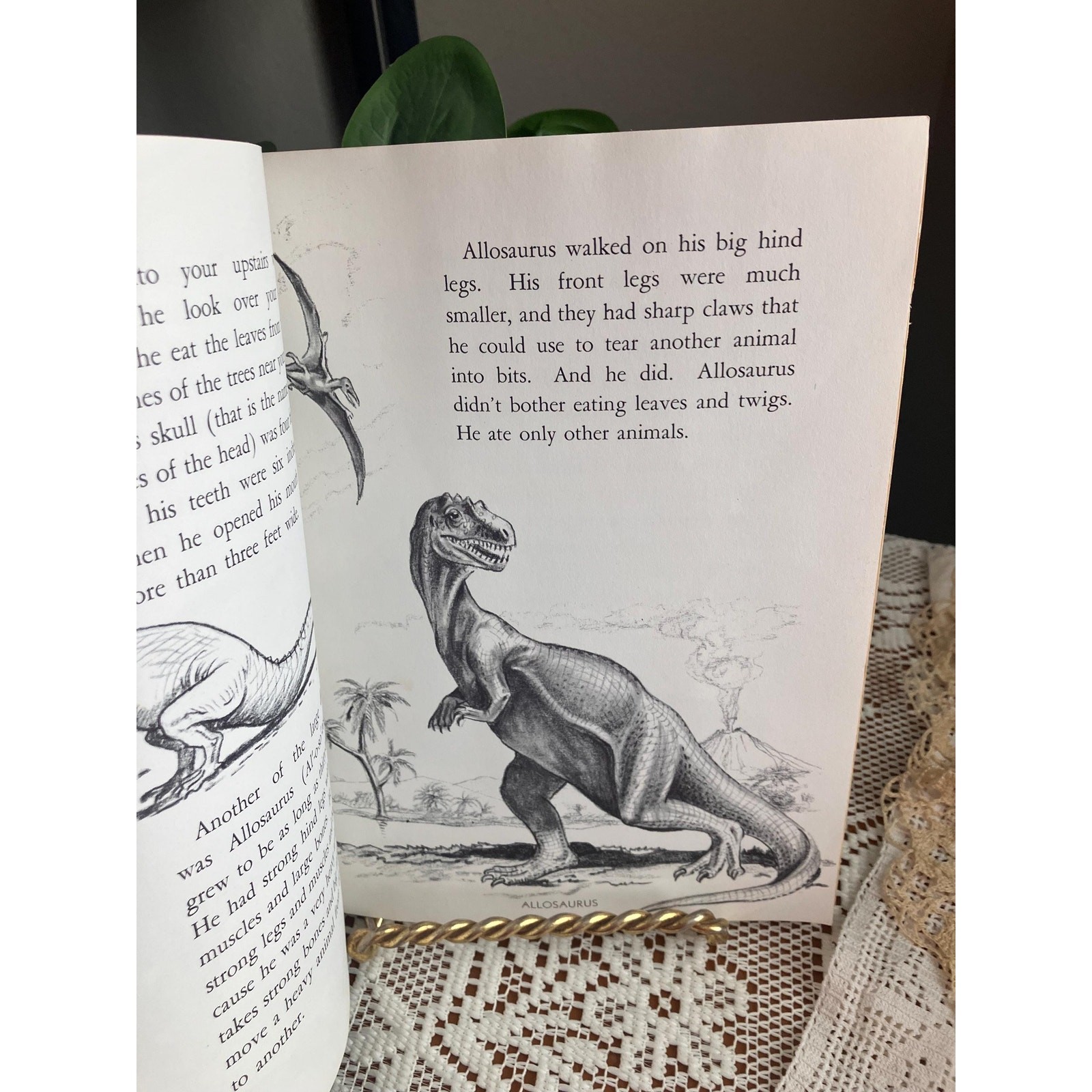 1960 Discovering Dinosaurs by Glenn O. Blough – Vintage AEP Dinosaur Kids Book
