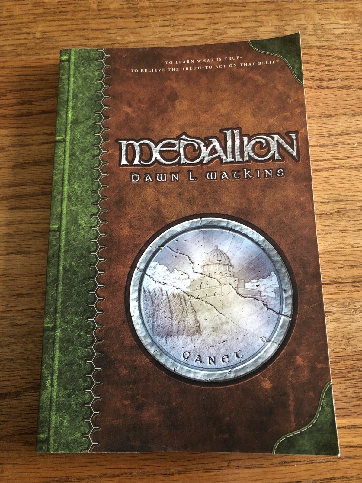 BJU Journey Forth Booklinks Medallion Homeschool Reader Chapter Book
