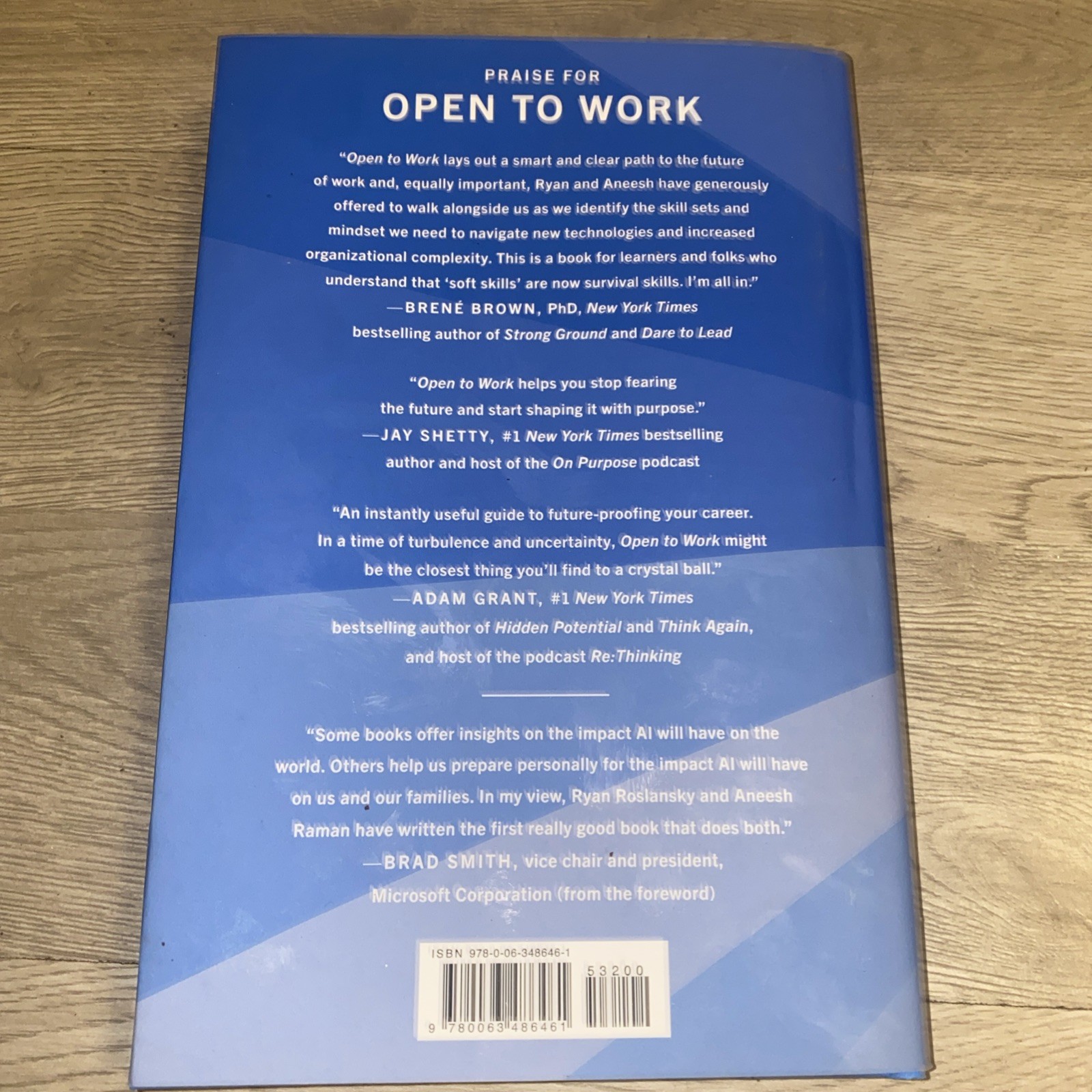 Open to Work How to Get Ahead in the Age of AI HC Book Ryan Roslansky