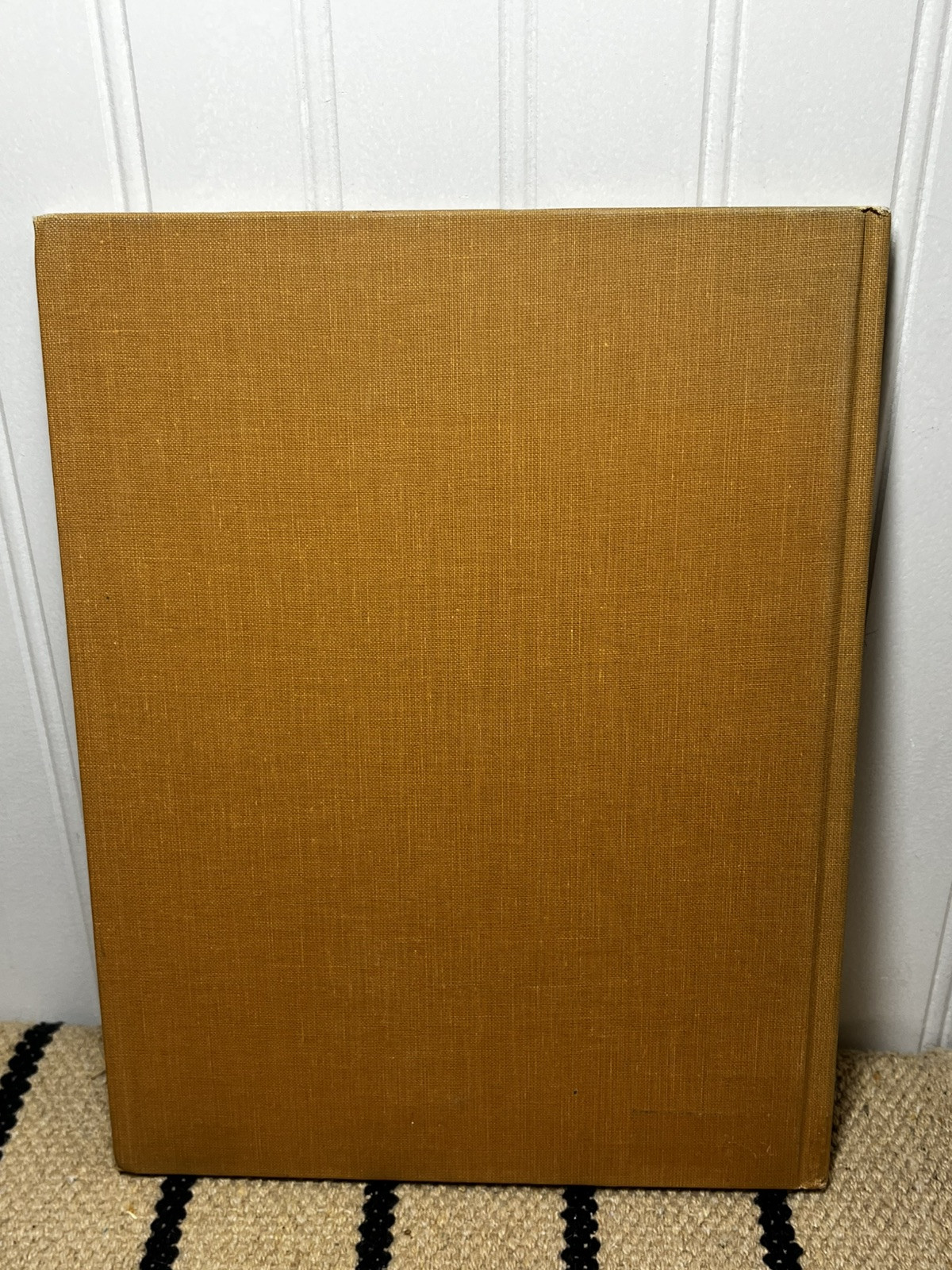 Animal Camouflage, Dorothy Shuttlesworth, illustrated by Matthew Kalmenoff HB XL
