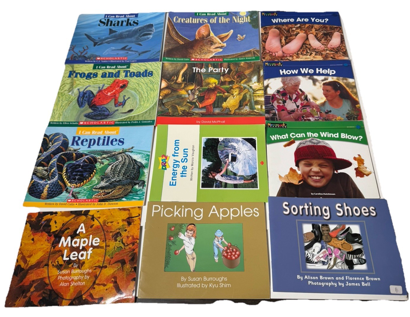 Newmark Learning Dynamics Readers I Can Read About Phonics Easy Read Child Lot