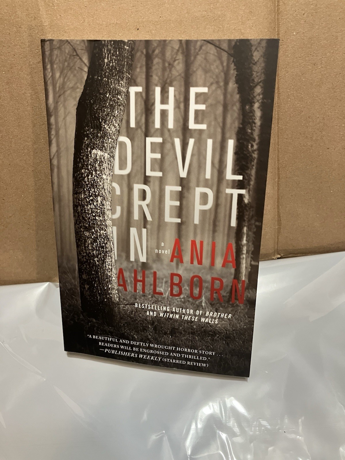 THE DEVIL CREPT IN BY ANIA AHLBORN (2017, Trade Paperback)