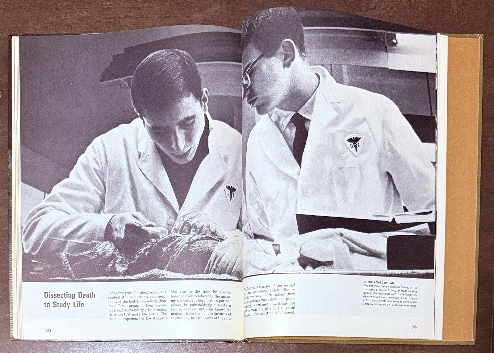 The Body by Alan E. Nourse, Time Life Science Library. Entertaining To Read Look
