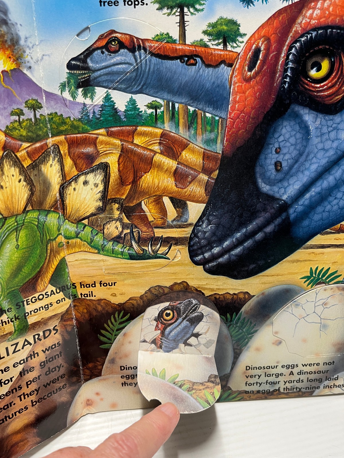 3 Dinosaurs Curriculum 3 Kids Student Information Home school Classroom Lot of 6