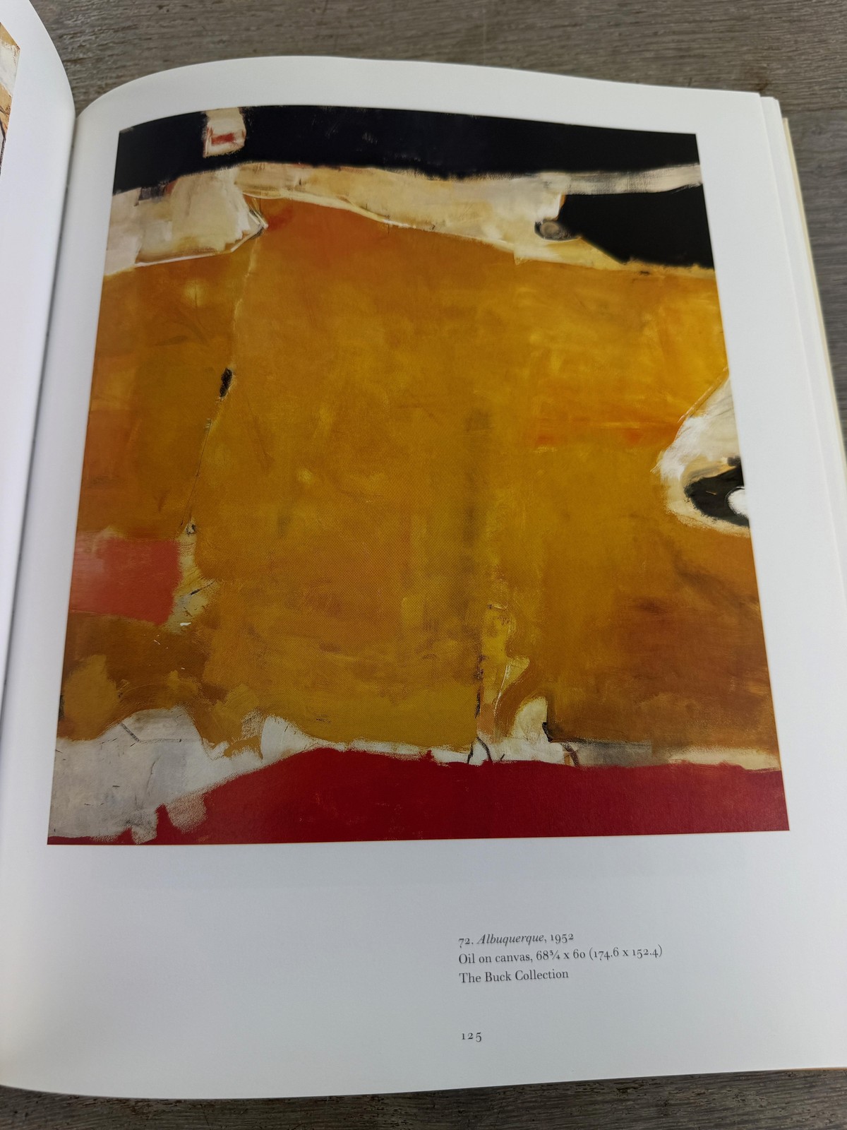 Vintage 1997 The Art Of Richard Diebenkorn Livingston HC DJ Whitney Illus USA