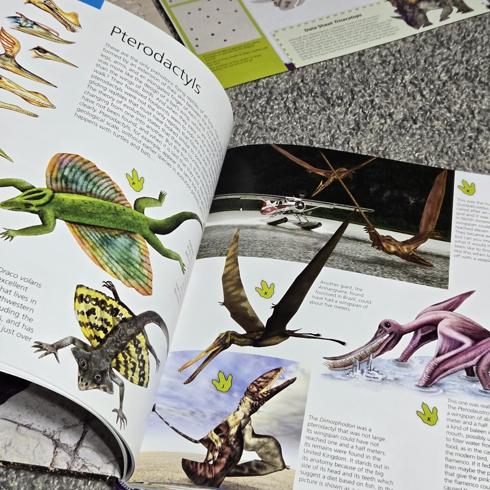 NEW Incredible Dinosaurs Book By Safeliz Educational Includes Cut Outs Reading