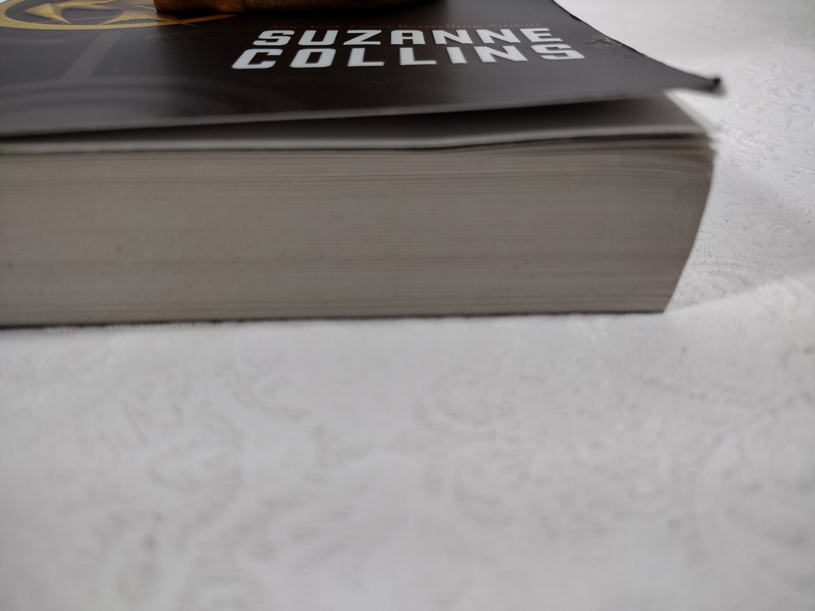 The Hunger Game By Susan Collins.