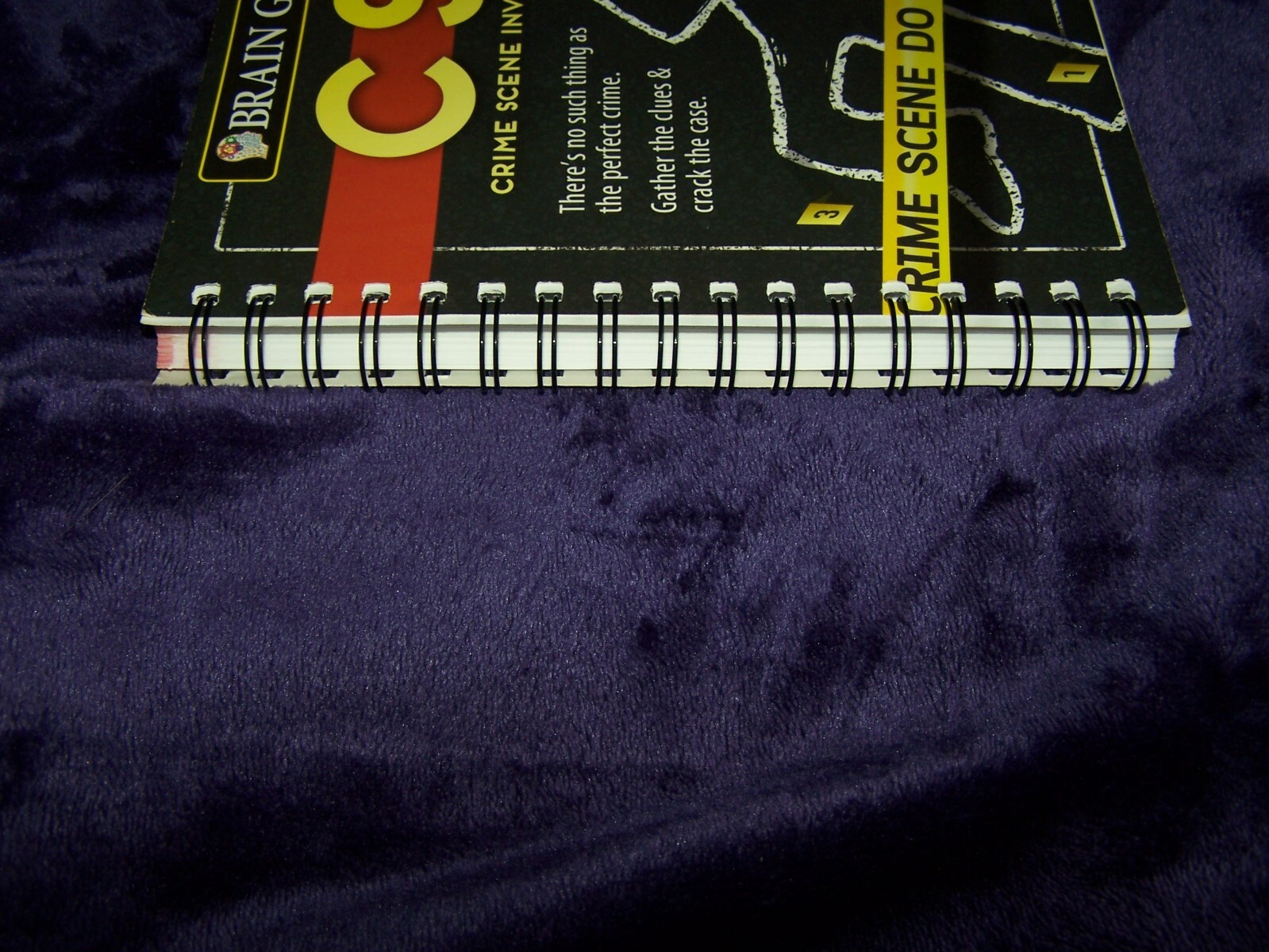 Brain Games Ser.: Brain Games Crime Scene Investigations : There’s No Such…