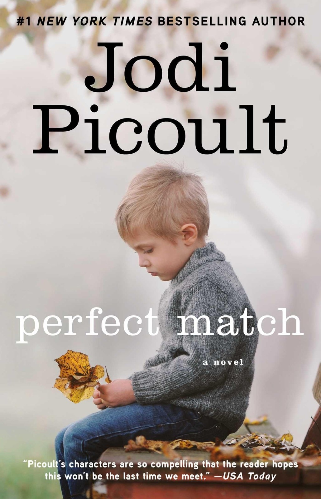 Perfect Match – paperback Picoult, Jodi
