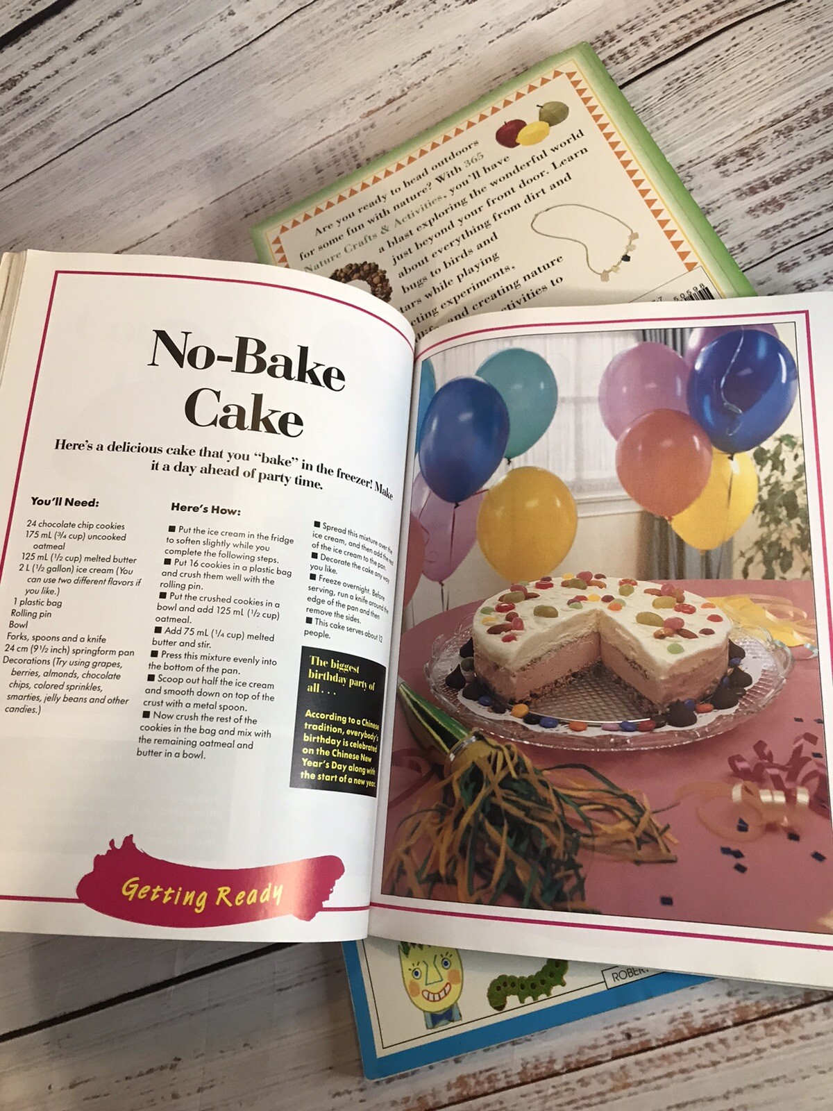 Vintage Craft Book Lot 1990s 2000s Science Nature Baking Rainy Day Homeschool