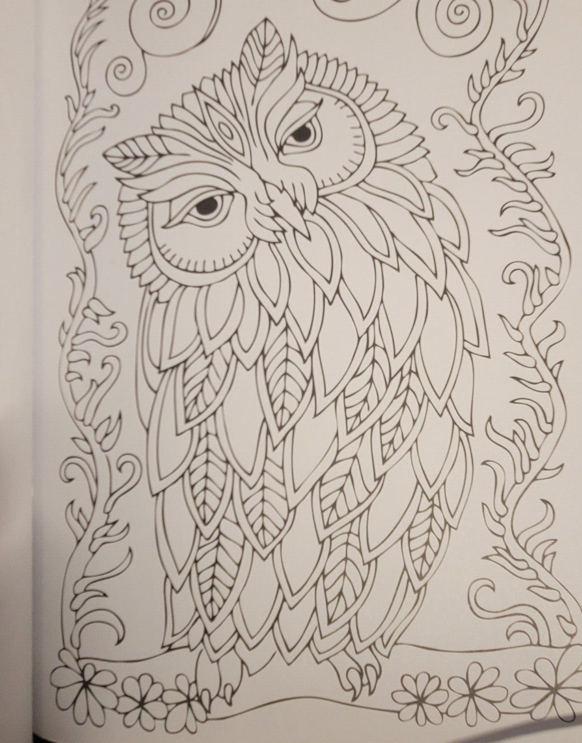 COLOR ME MAGNIFICENT Vol 12 Adult Coloring Book With 47 Prints Ready To Frame