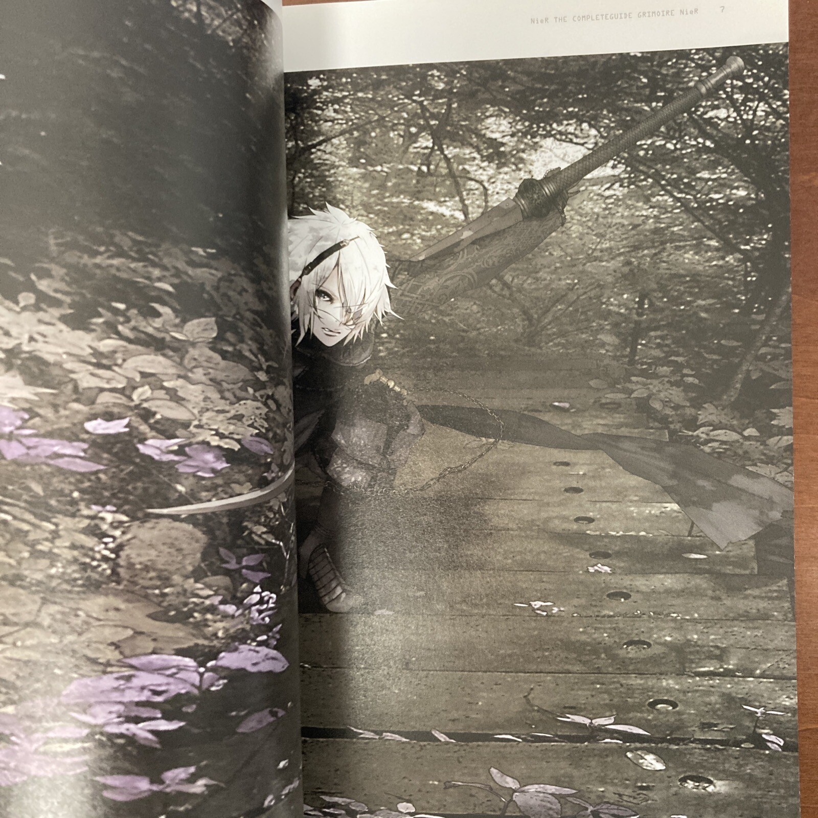 Grimoire NieR Guide Book Art Book Illustration