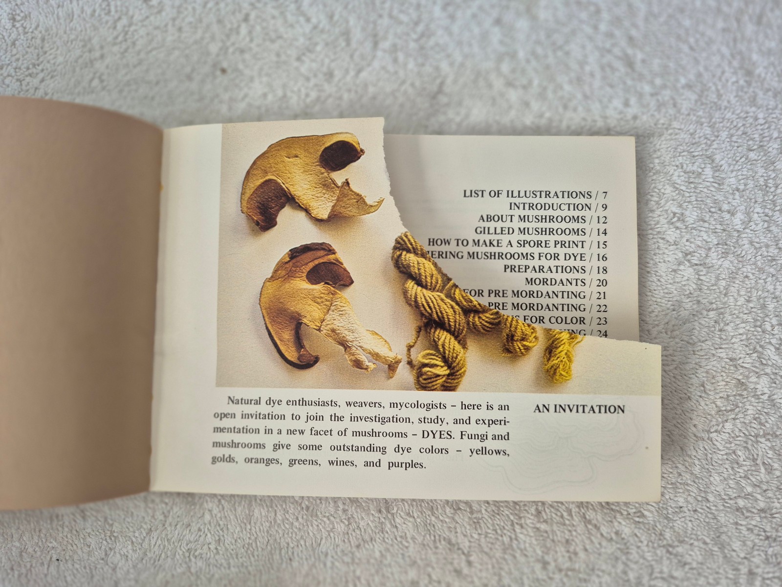 Rare Hard to find – Let’s Try Mushrooms for Color – Miriam C. Rice