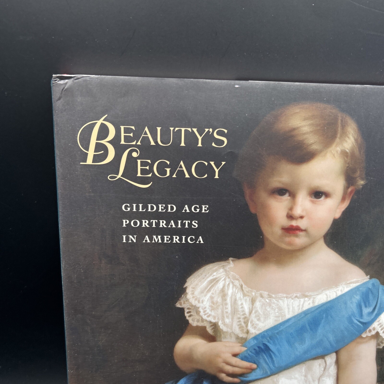 Beauty’s Legacy : Gilded Age Portraits in America Barbara Dayer G