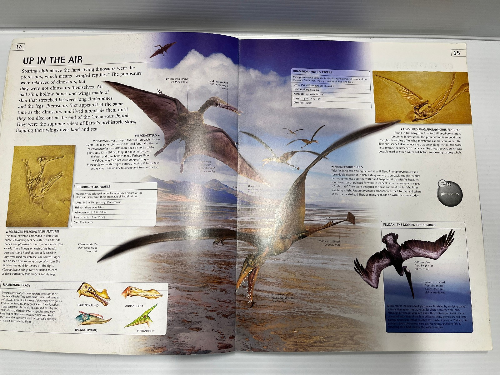 3 Dinosaurs Curriculum 3 Kids Student Information Home school Classroom Lot of 6