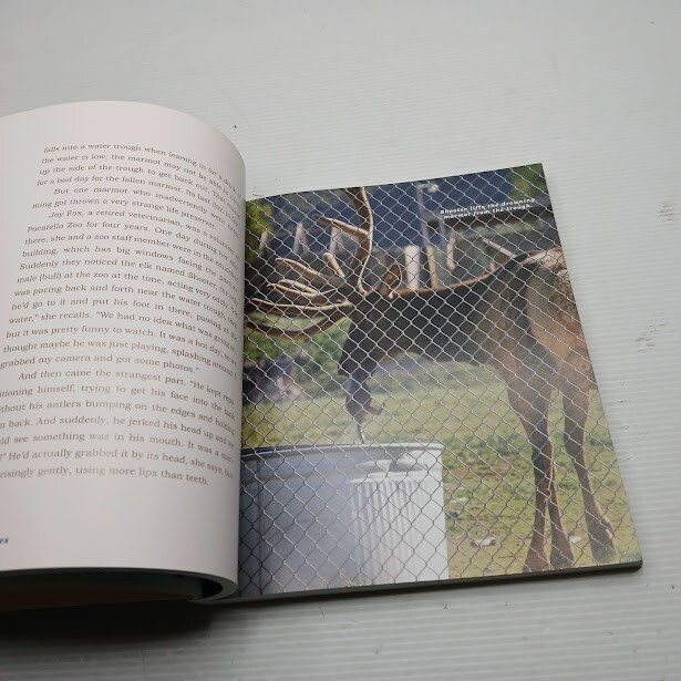 Unlikely Heroes By Jennifer S Holland Biographical/True Story Paperback In Aust