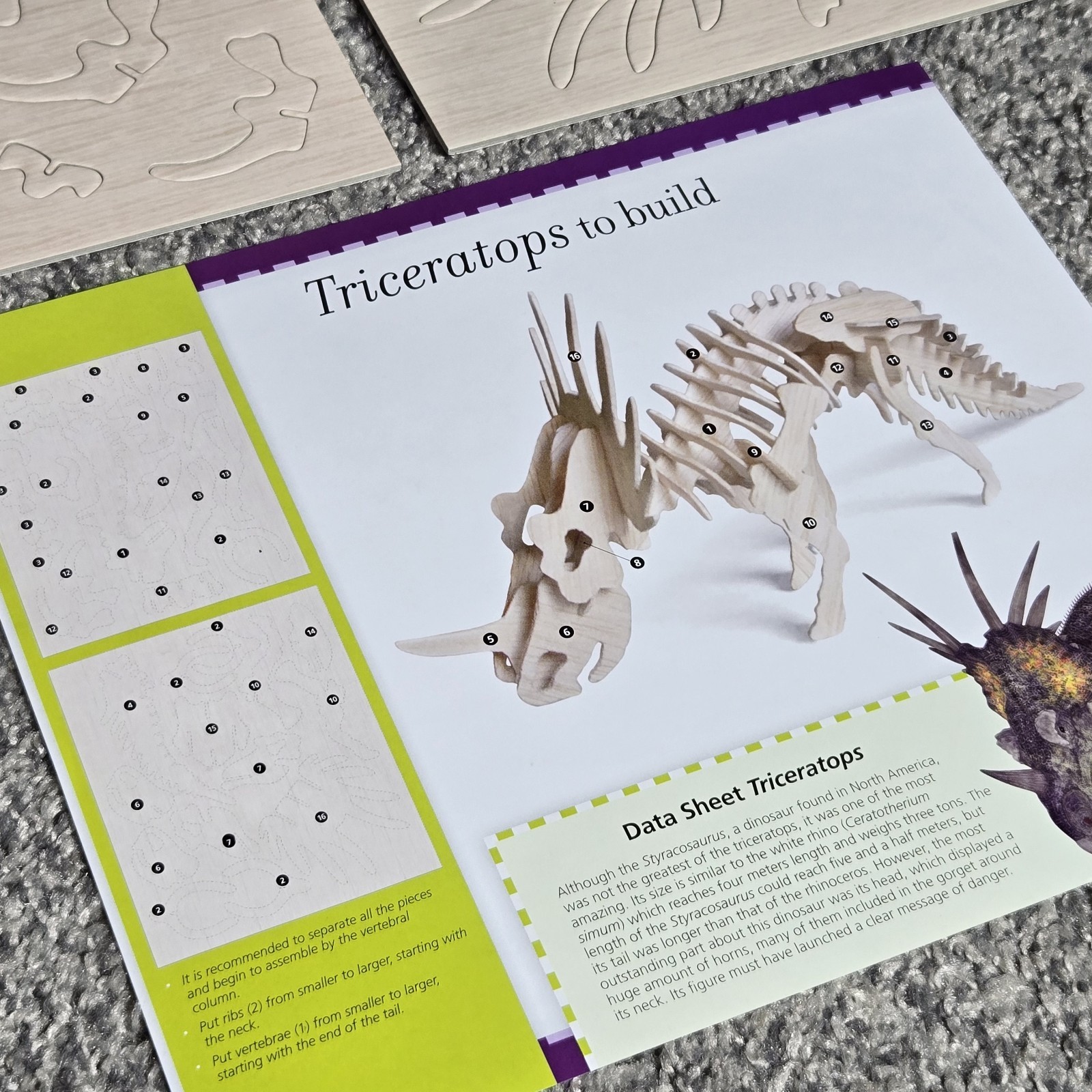 NEW Incredible Dinosaurs Book By Safeliz Educational Includes Cut Outs Reading