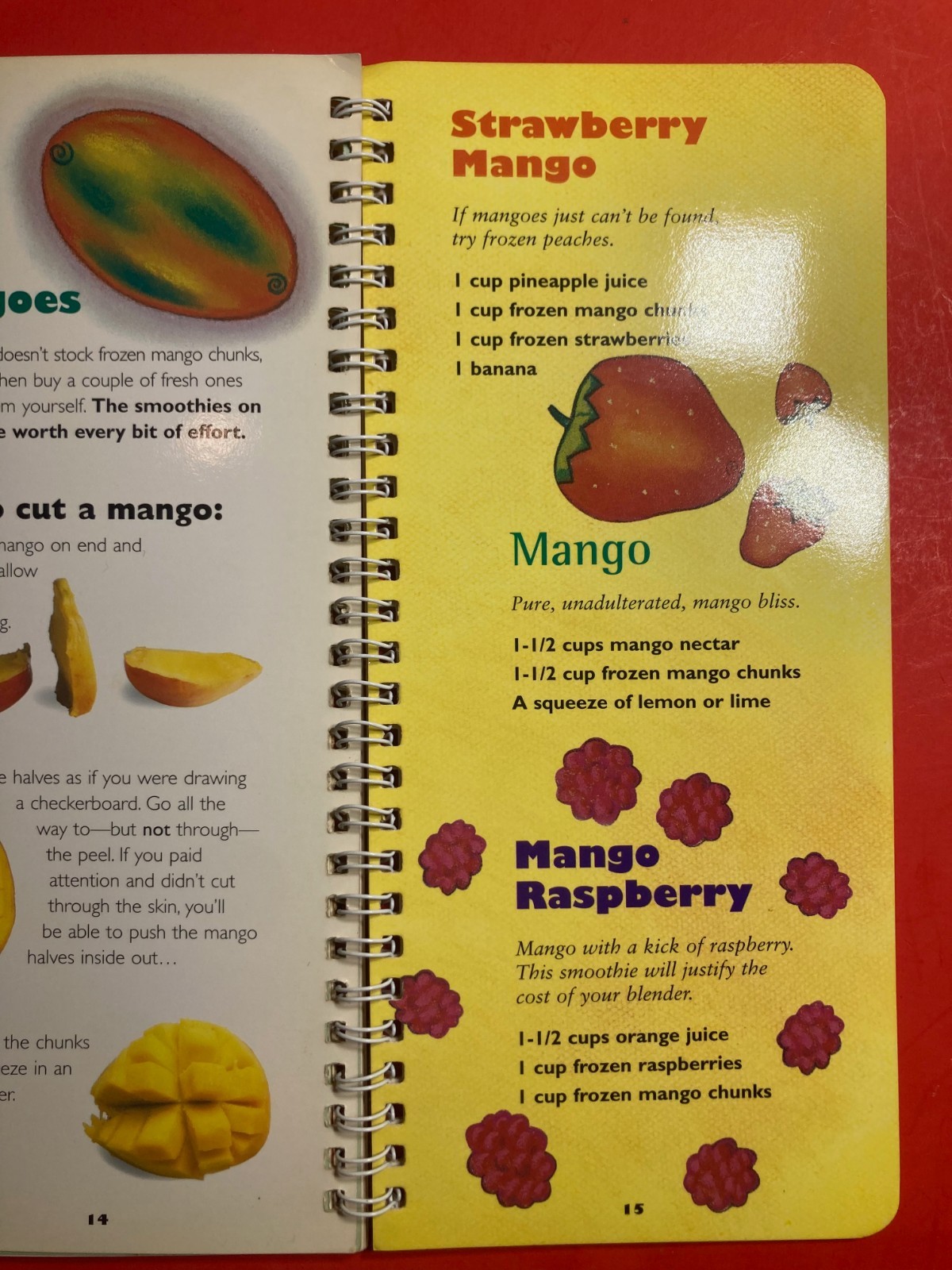 Smoothies (Klutz) – BEVERAGE RECIPES 16 PAGES Johnson, Anne Akers –