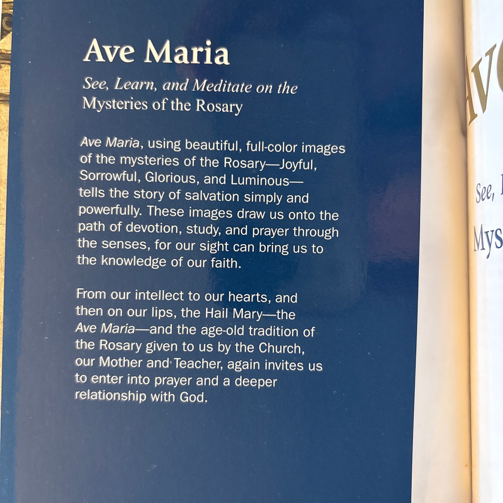 AVE MARIA: SEE, LEARN, AND MEDITATE ON THE MYSTERIES OF The Rosary By M. Poggio
