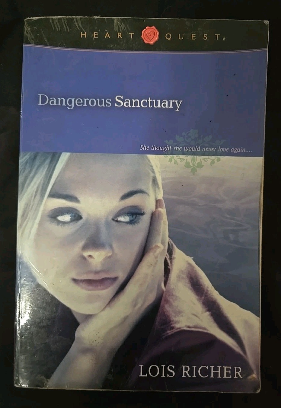 Dangerous Sanctuary by Lois Richer (2004, Trade Paperback)