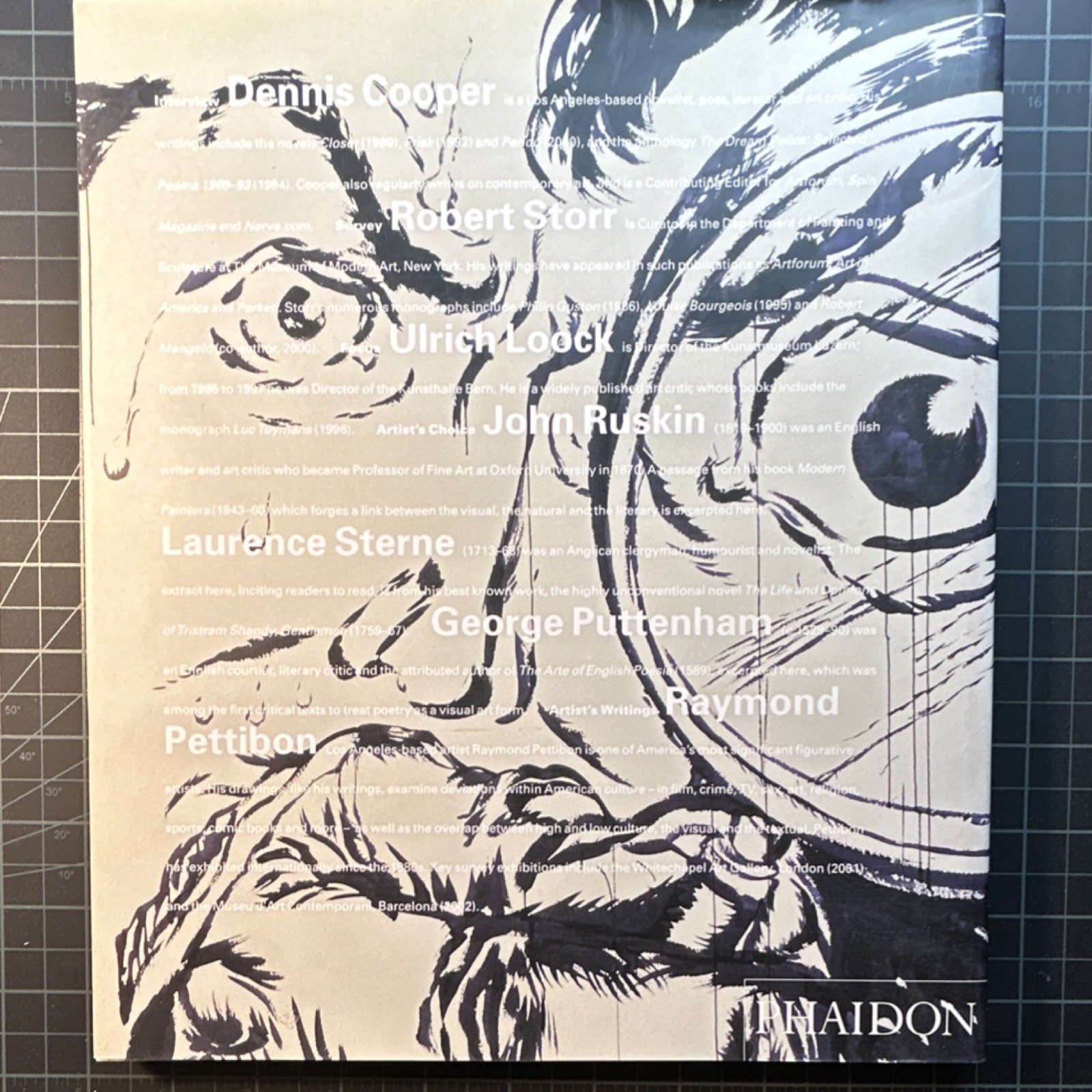 Raymond Pettibon Art Book Softcover Phaidon Press 2001 Illustrated First Edition