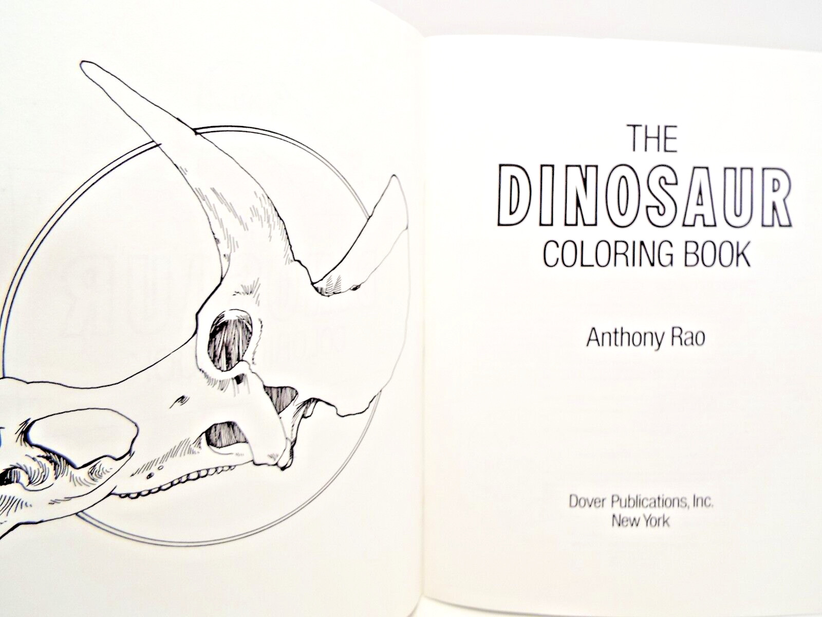 The Dinosaur Coloring Book by Anthony Rao (PB) & 2 Dinosaur Sticker Sets Vintage