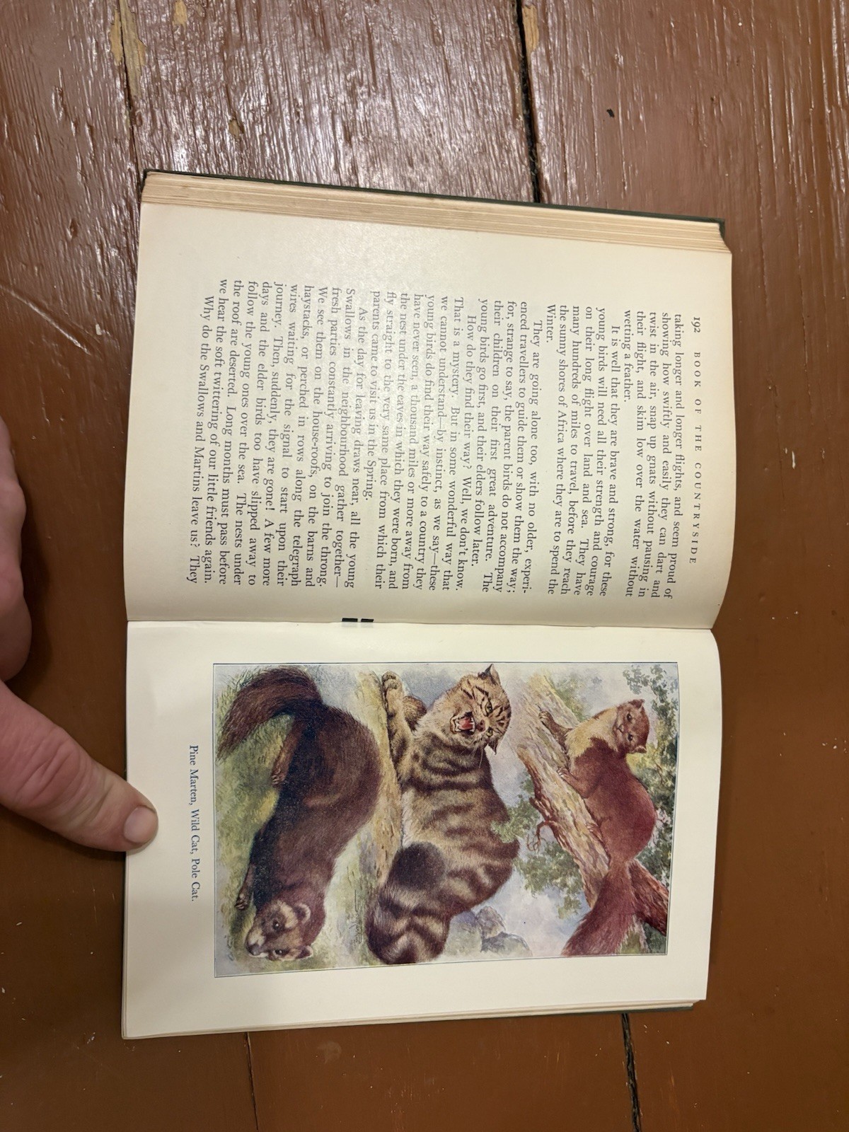 The Book of the Countryside (HC) Martin and Lucy Duncan 1927