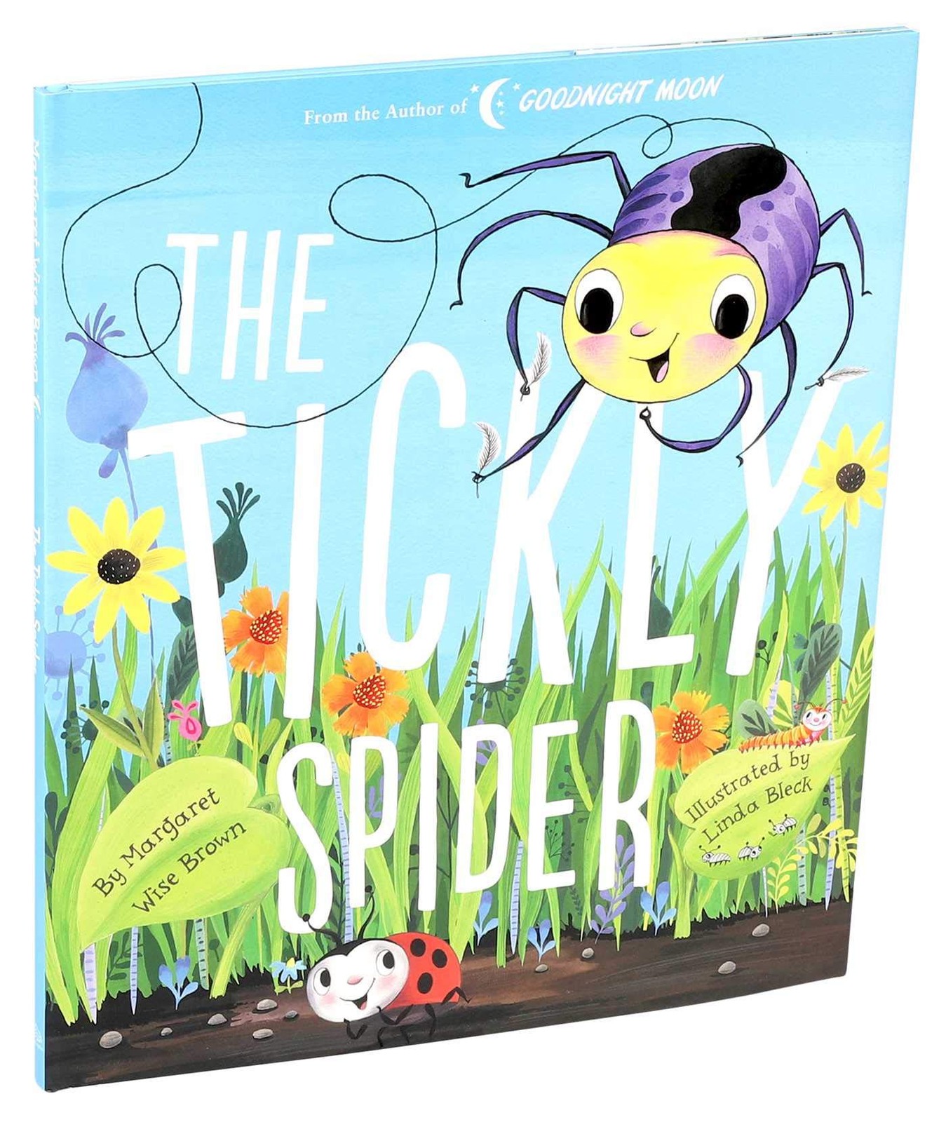 Tickly Spider (Margaret Wise Brown Classics)
