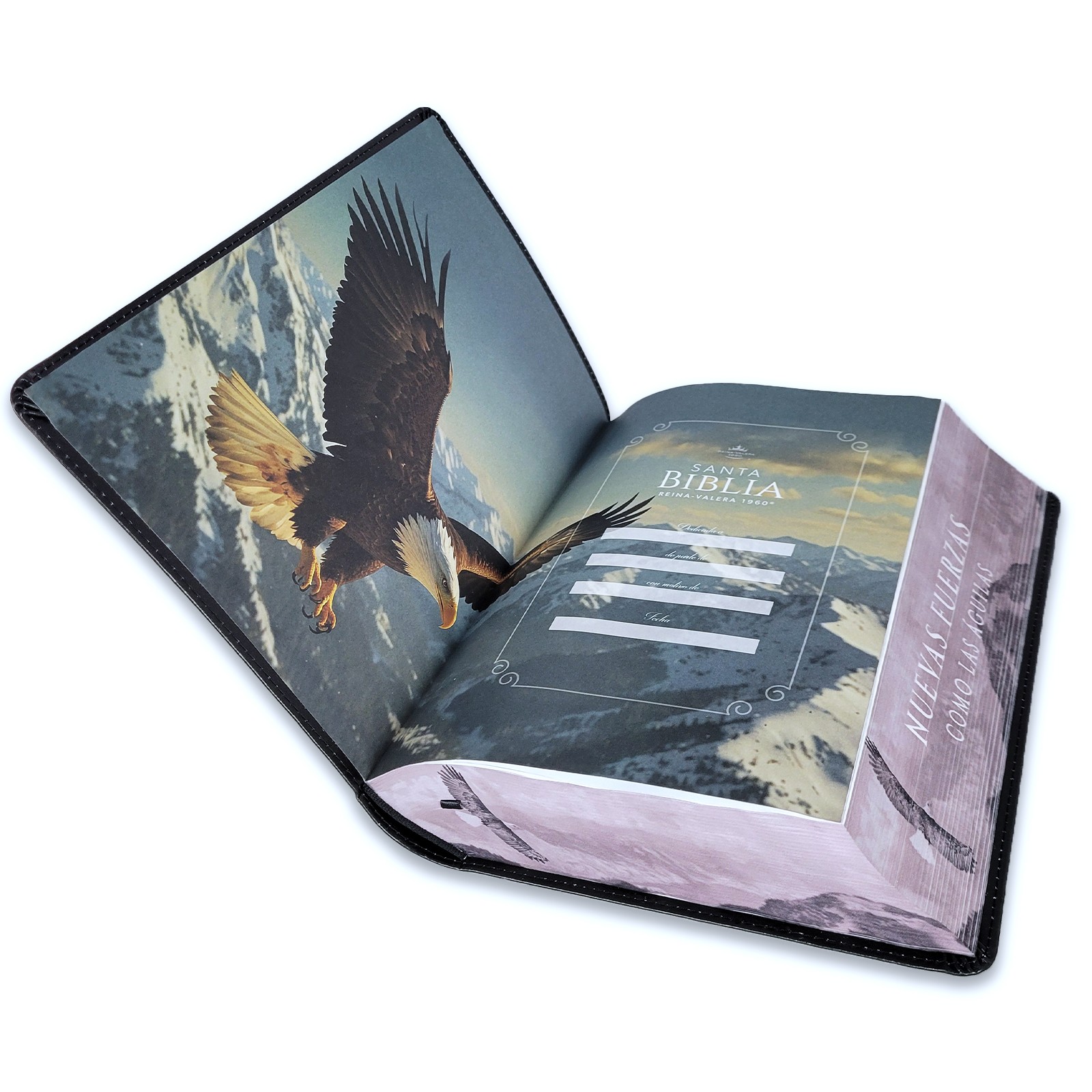 Biblia Letra Super Gigante 19 puntos RV1960 imit piel negro aguila