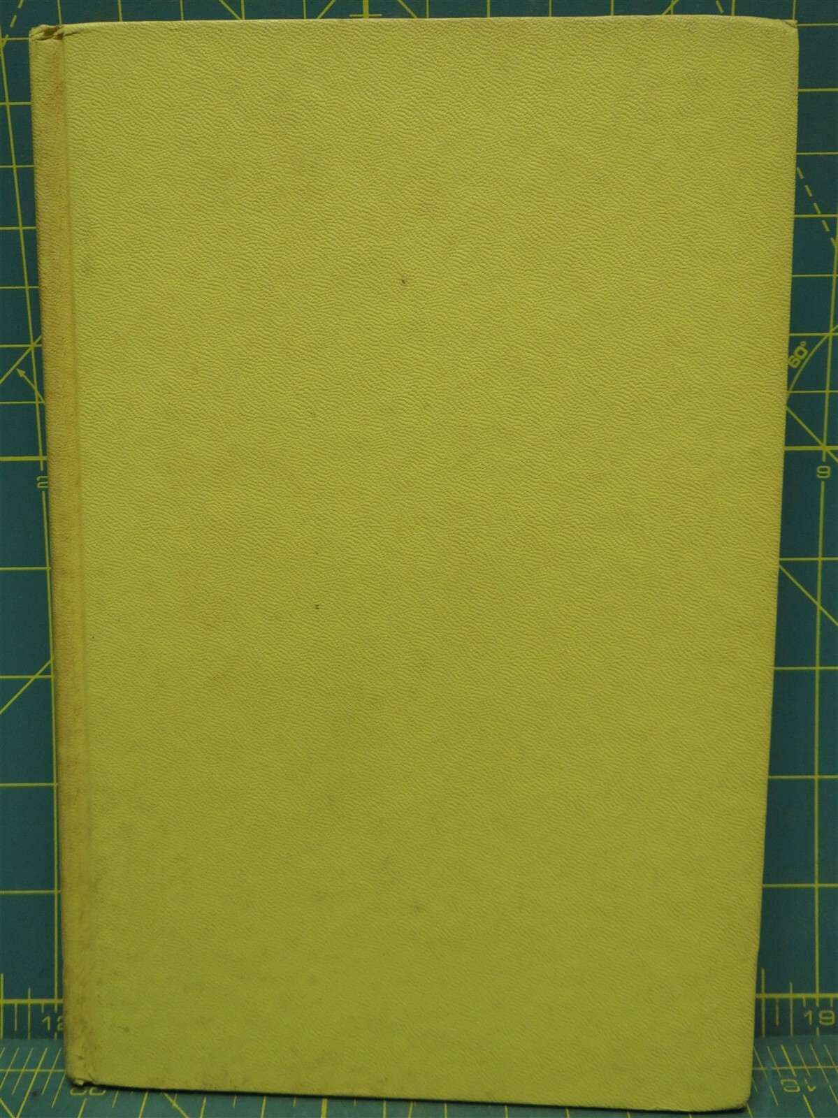 Summer Doctor by Charles H. Knickerbocker, 1963, Hardcover, 252 Pages