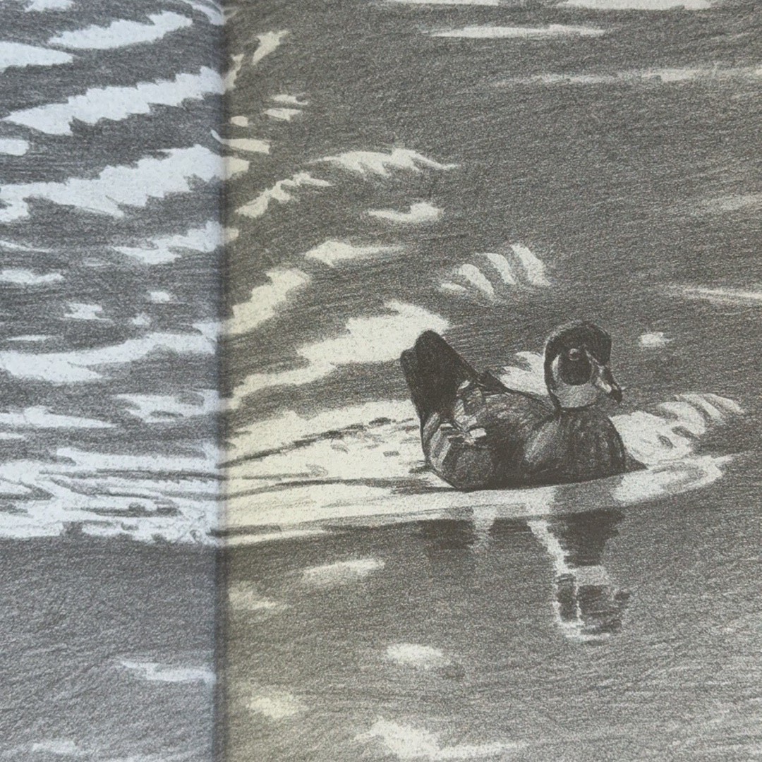 Ecology and Management of the Wood Duck Stackpole Books 1994 Hardcover